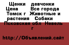 Щенки - девчонки › Цена ­ 2 - Все города, Томск г. Животные и растения » Собаки   . Псковская обл.,Невель г.